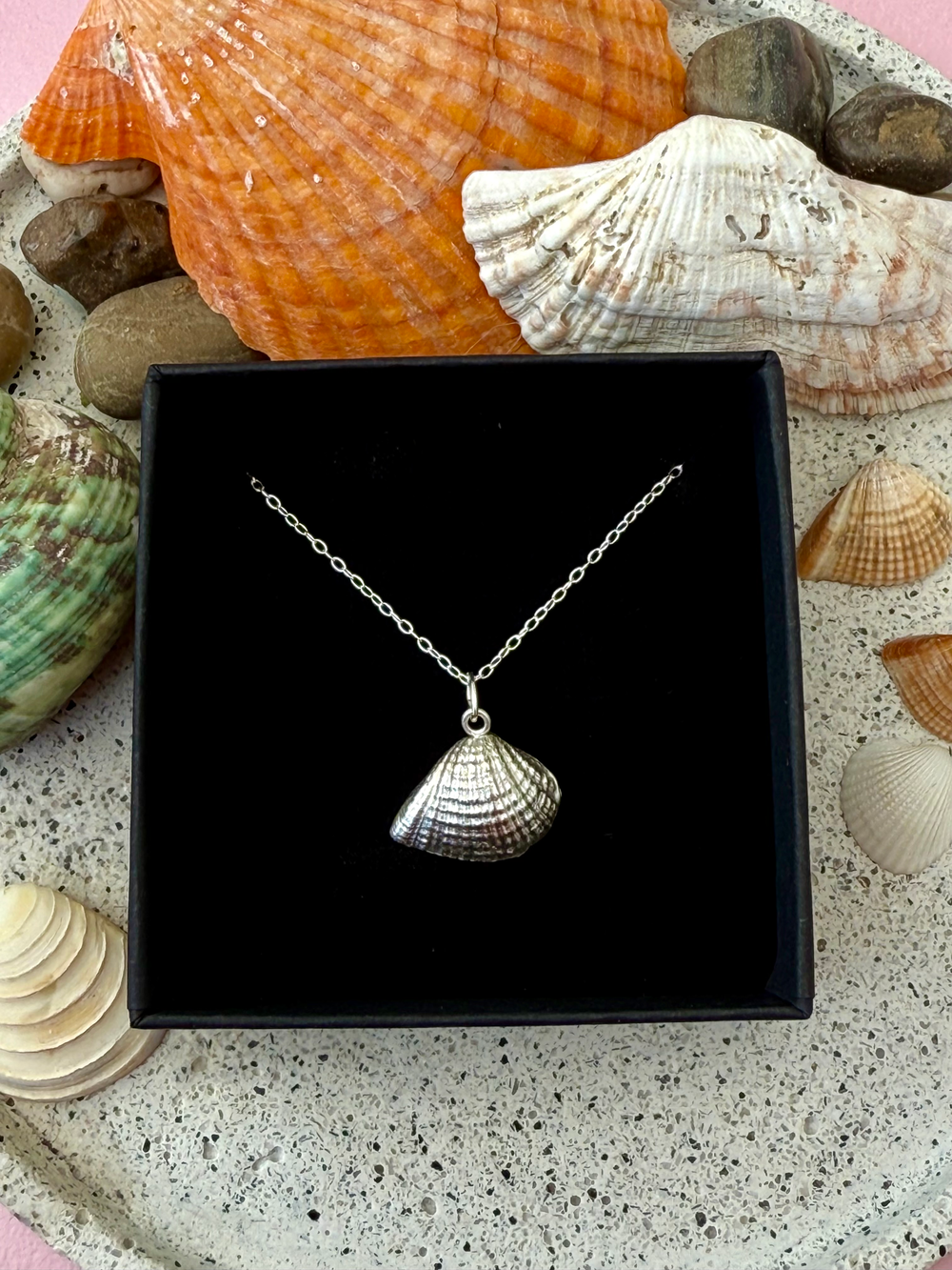 Cockle Shell Necklace