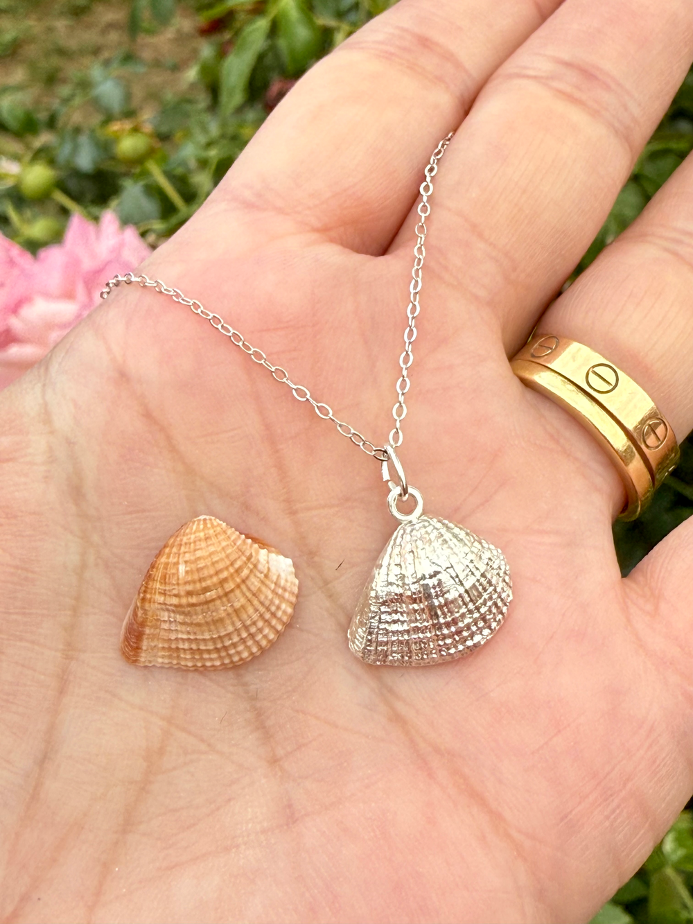 Cockle Shell Necklace
