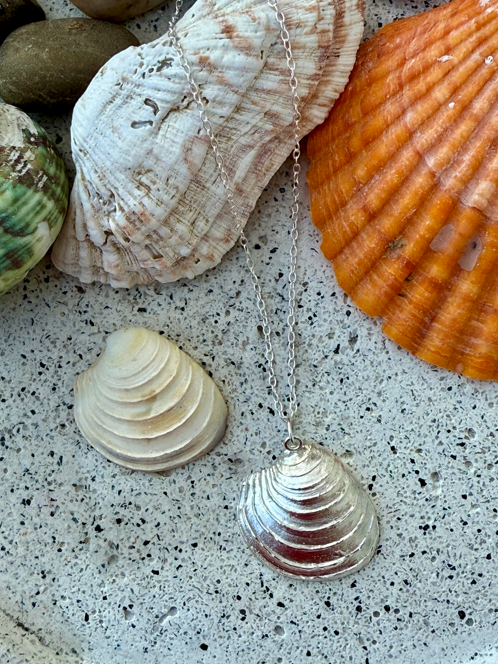Venus Clam Shell Necklace