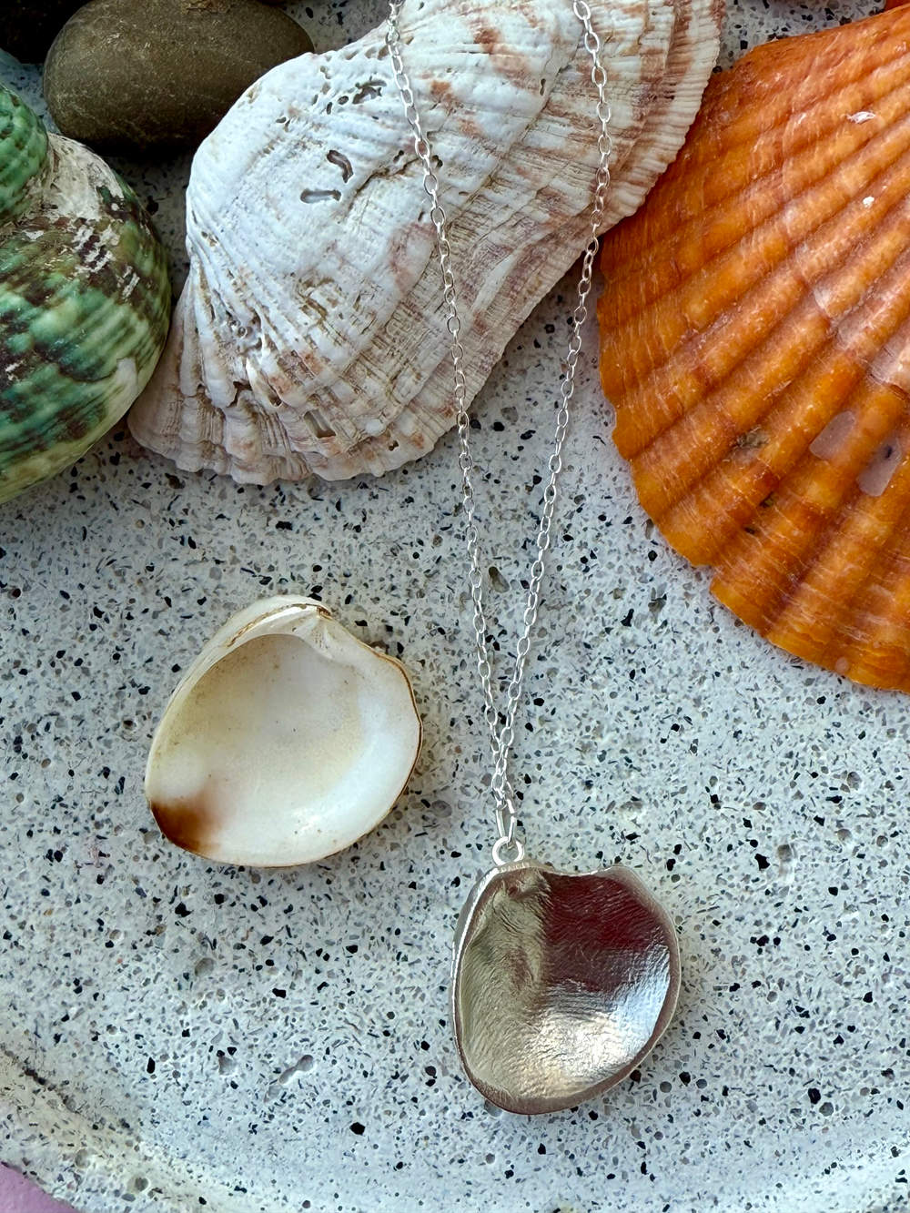 Venus Clam Shell Necklace