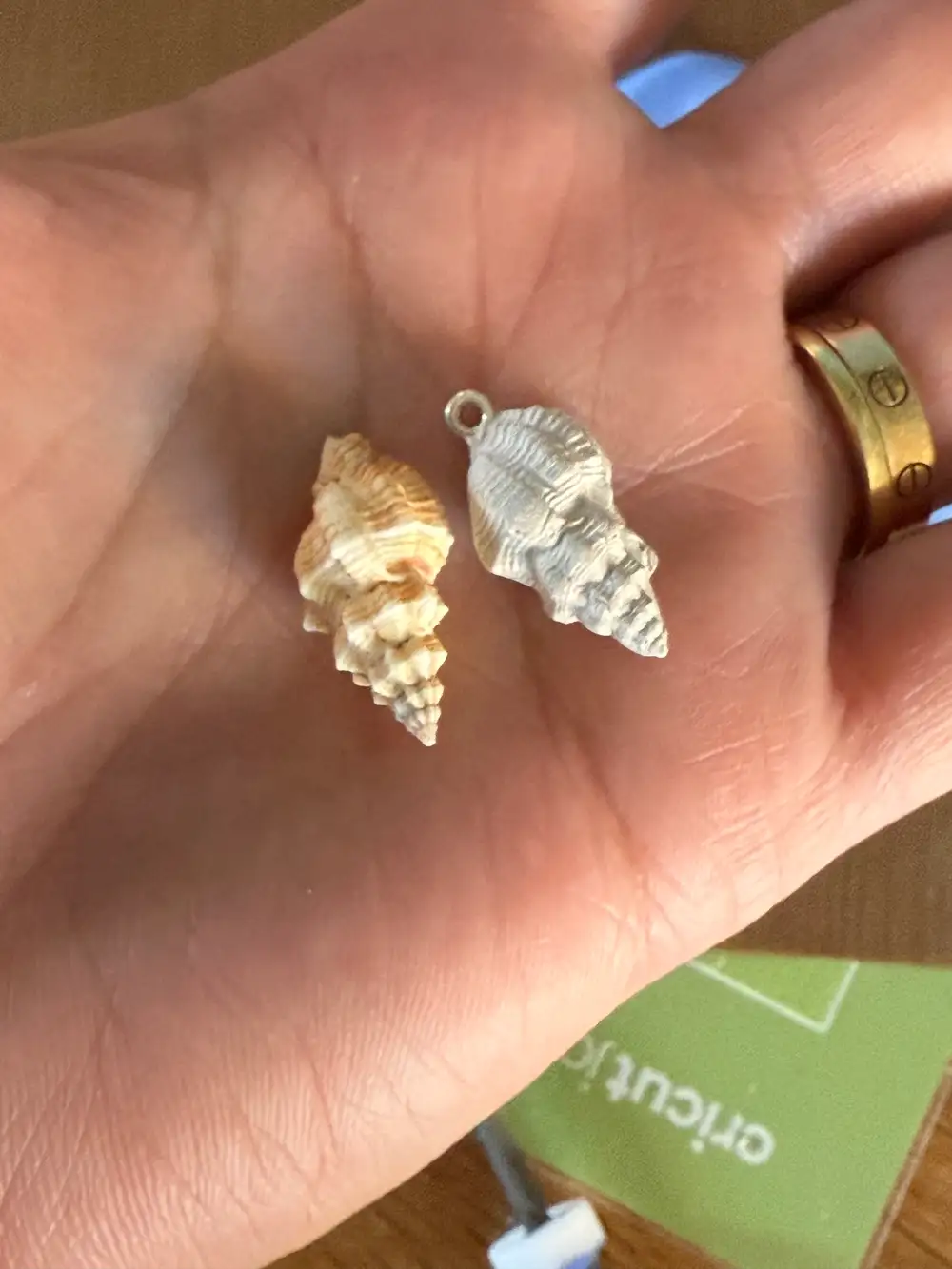 Oyster Drill shell pendant | Sterling Silver