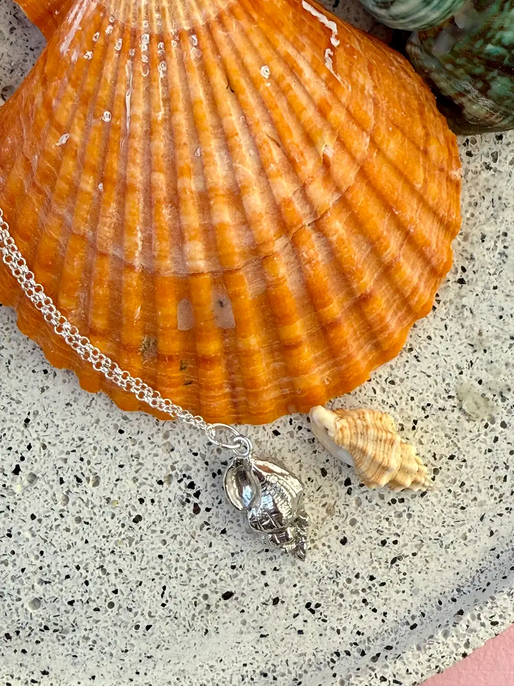 Oyster Drill shell pendant | Sterling Silver