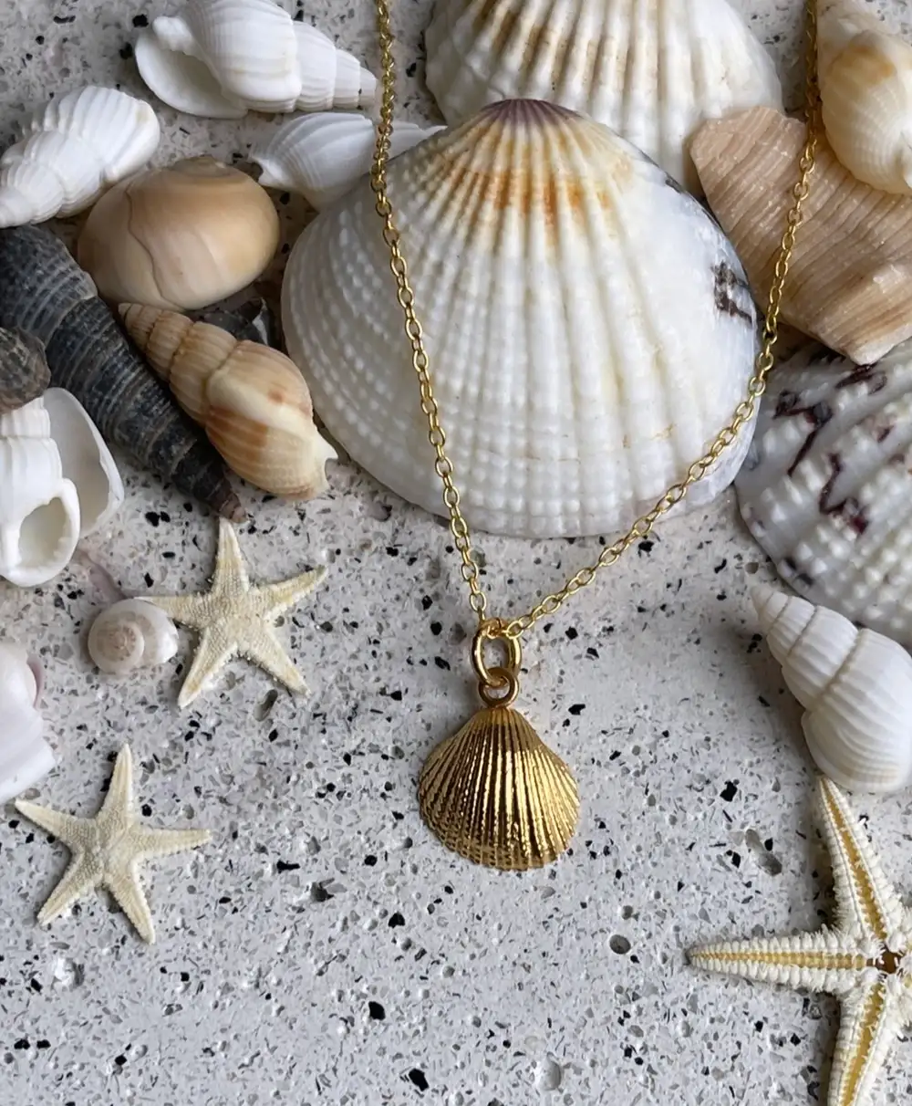 Gold Cockle Shell Necklace